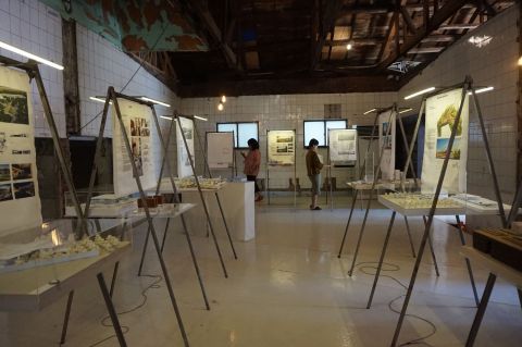 Foto Pameran IAWS 2017